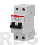 Автоматический выключатель ABB SH202L С10А 2П 4500A - фото