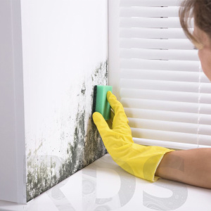 Очиститель от грибка и плесени "CEMMIX Universale Cleaner", 5л - фото 2