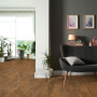 Линолеум Juteks MASTER BOURBON 1 (2,5м) - фото 2