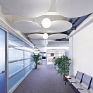 Optima Canopy